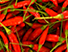 Pimenta USA