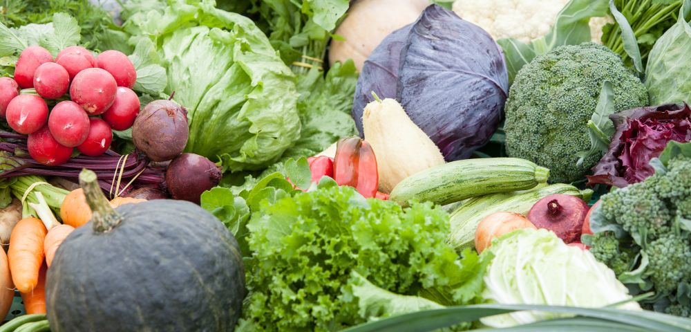 verduras-e-legumes